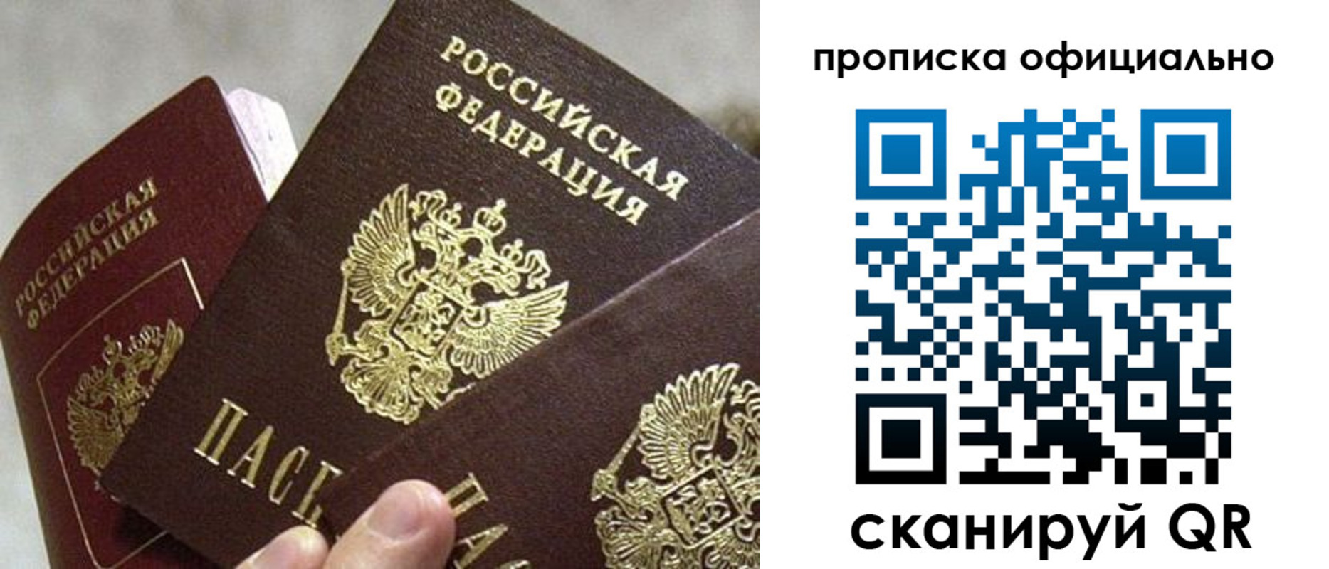 прописка гарантия в Черногорске
